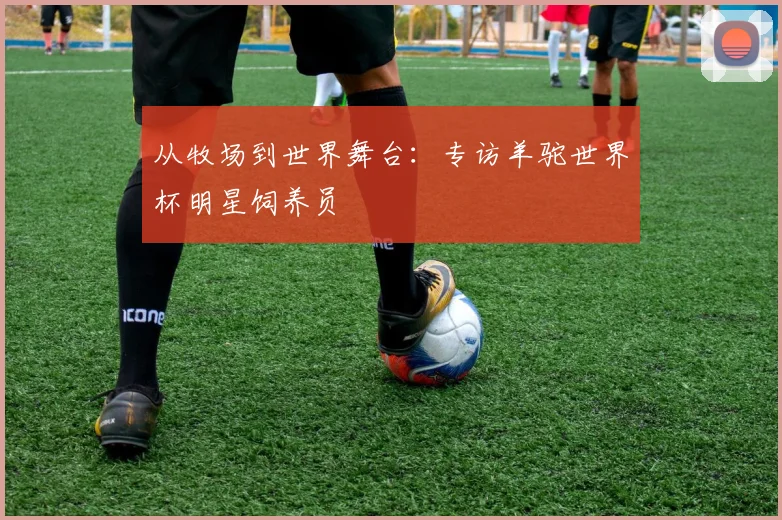从牧场到世界舞台：专访羊驼世界杯明星饲养员