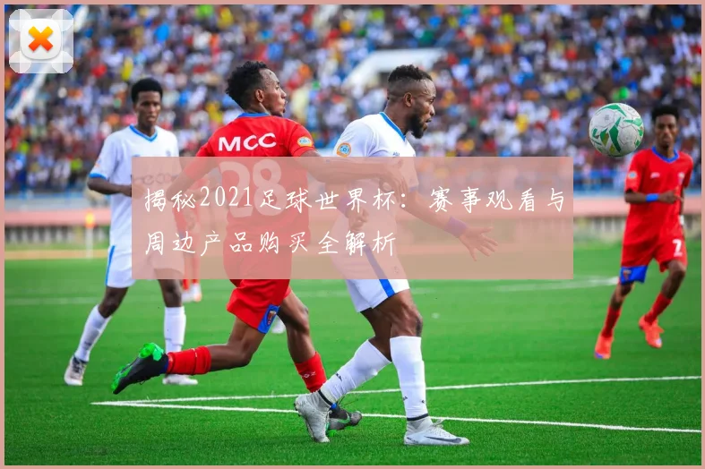揭秘2021足球世界杯：赛事观看与周边产品购买全解析