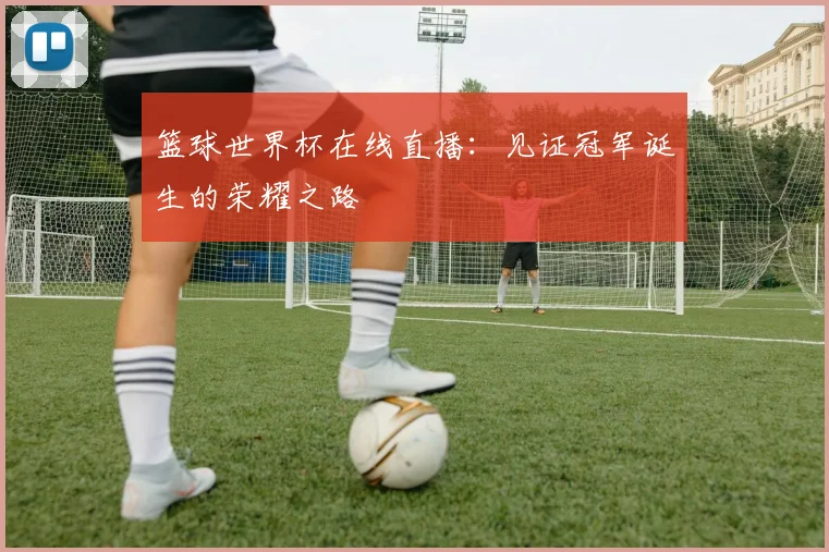 篮球世界杯在线直播：见证冠军诞生的荣耀之路