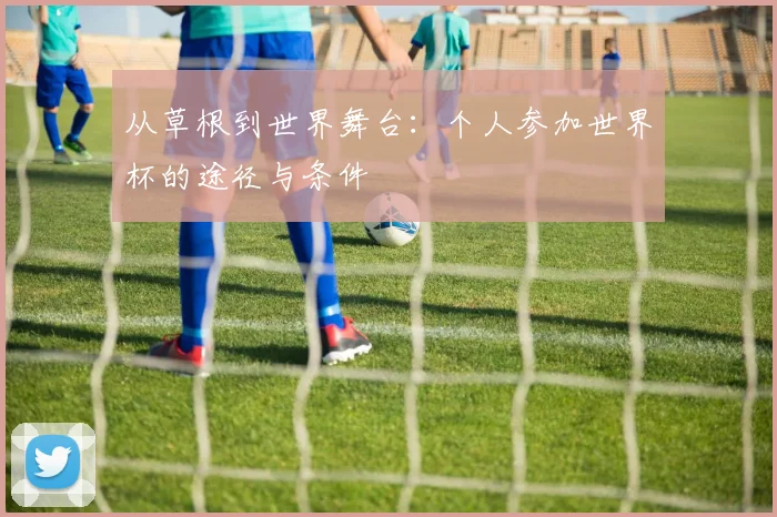 从草根到世界舞台：个人参加世界杯的途径与条件