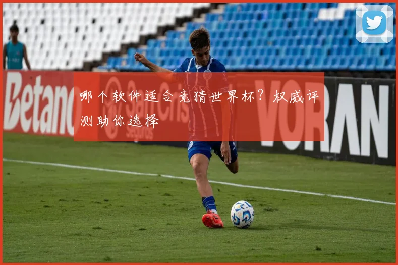 哪个软件适合竞猜世界杯？权威评测助你选择
